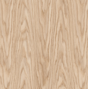 REXAU Заглушка самоклеющаяся D20мм (12шт) Эра