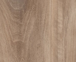 REXAU Заглушка самоклеющаяся D20мм (12шт) Соул