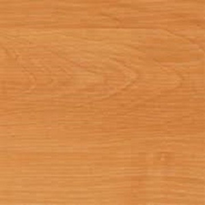 REXAU Заглушка самоклеющаяся D14мм (20шт) Ольха Светлая