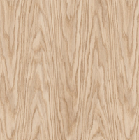 REXAU Заглушка самоклеющаяся D20мм (12шт) Эра