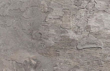 Кромка с клеем КЕДР Камень серый 695 S 0,6х44х3050 мм